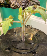 Load image into Gallery viewer, Aperture Light Shield for Split Pellet Carrier